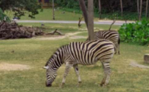 �������R�����ģ����x30ƪ��