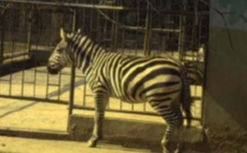 ��Ŀ�����R����ôͨ�^(gu��)