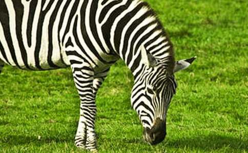 �������R���^���