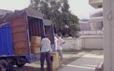 觀察螞蟻搬家優(yōu)秀作文(3篇)