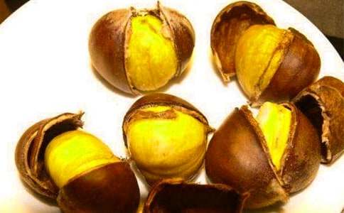 家鄉(xiāng)的板栗的作文900字