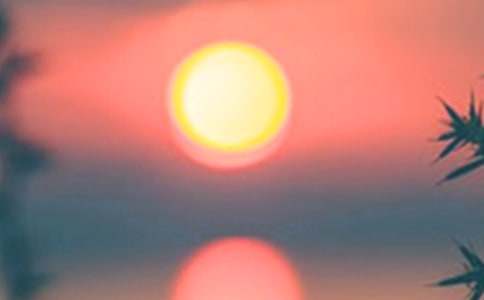 美麗的傍晚作文(通用20篇)