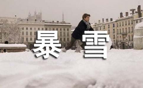 暴雪作文600字4篇