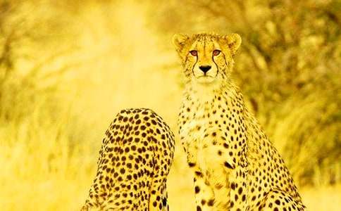 �����A����������500��3ƪ