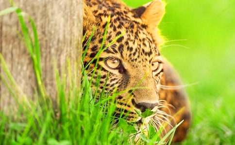 ����С�W(xu��)���꼉����