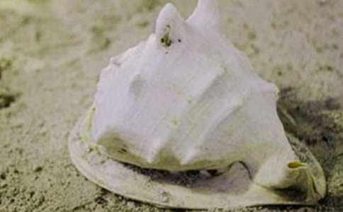 ���x��ؐ�����ĺϼ���ƪ