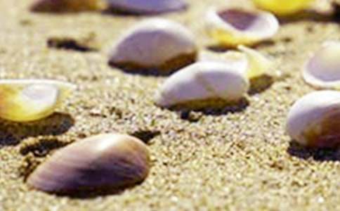 �ғ�ؐ������