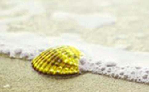 美味的貝殼作文