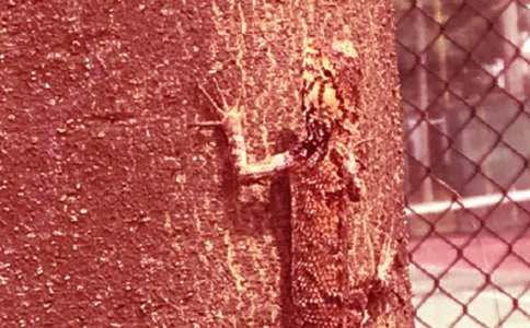 �ڻ�����������400��