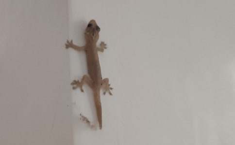 ���꼉С�ڻ���β�ͽ̰��O(sh��)Ӌ