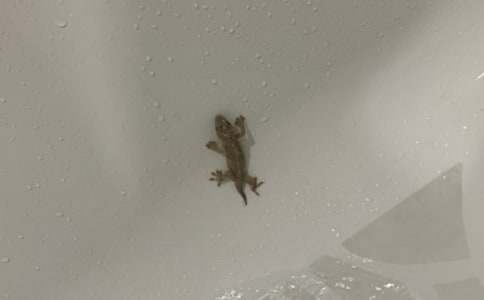 �˽̰�һ�꼉�ڶ��ԡ�С�ڻ���β�͡��̰�