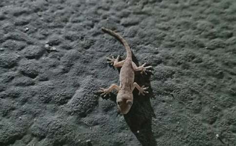 С�ڻ���β�͵Ľ̌W(xu��)�O(sh��)Ӌ����