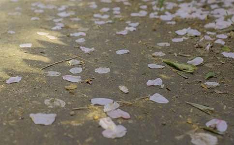 關(guān)于冰雹作文300字(精選75篇)