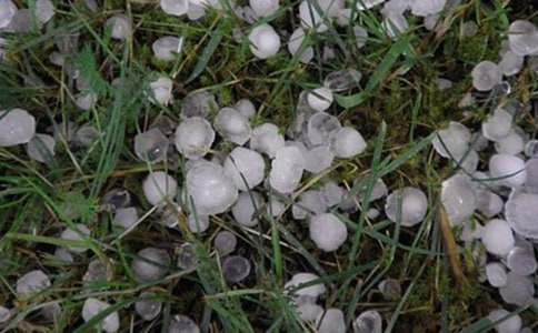 ����ı�������300��