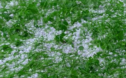 ��������400�֣����x18ƪ��