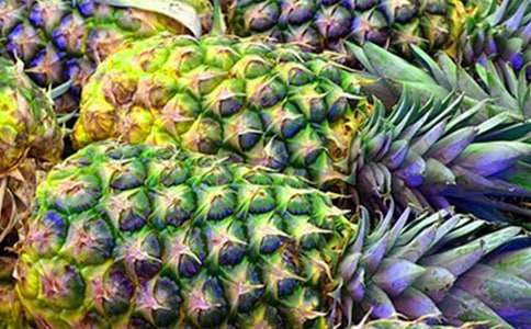 精選菠蘿作文300字9篇