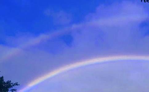 ΢Ц�ʺ�����5ƪ