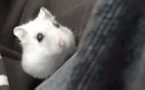 �ҽoС�}��Qľм�������ģ����x15ƪ��