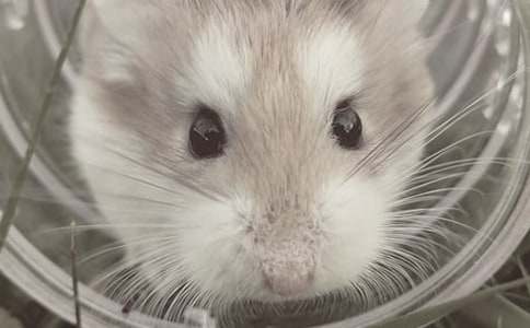 ��С�}�������500�֣����x27ƪ��