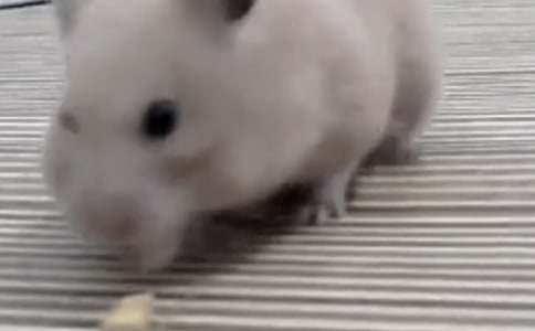 �ҵĂ}(c��ng)��-����