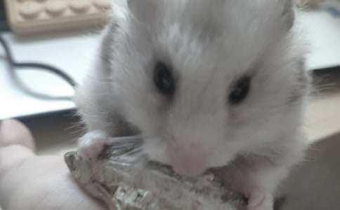 �^��}(c��ng)��ӛ����700��