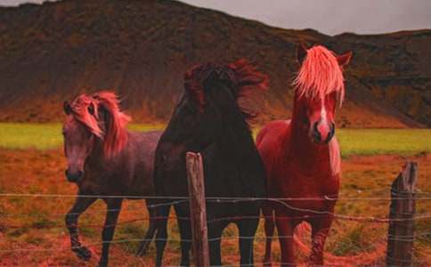 �����������ƥ�R����