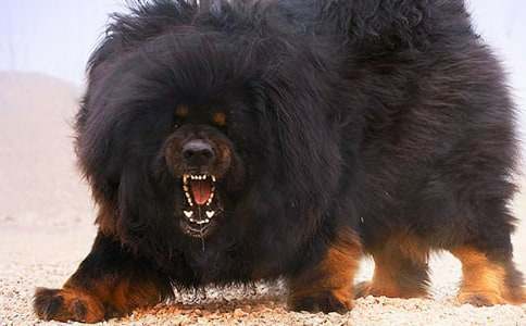 ������༪�и�