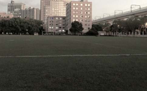 �����Ĳو�(ch��ng)���ĺϼ�15ƪ