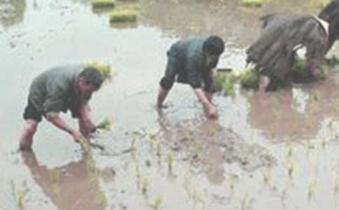 �w�(y��n)����_550��