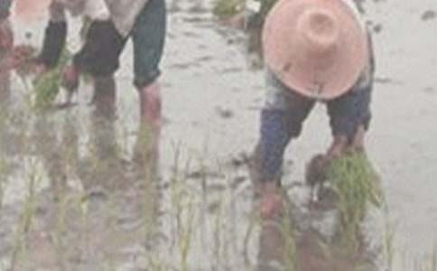 ��������600�ֺϼ���ƪ