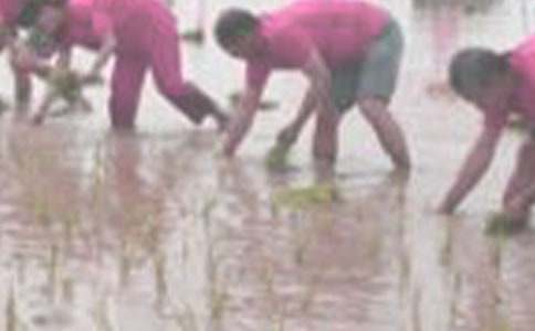 �P(gu��n)�ڲ�������300��10ƪ