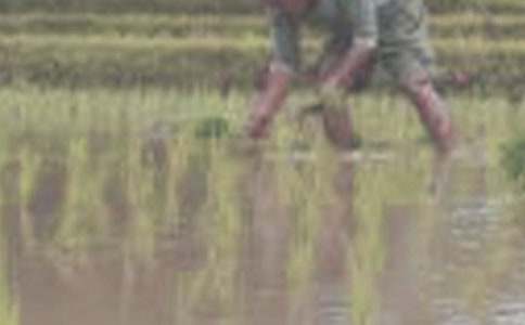 �����̌W�OӋ