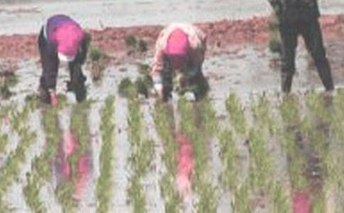 ��������600�֣����x22ƪ��