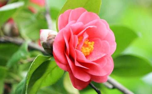 �����]���軨����300��3ƪ