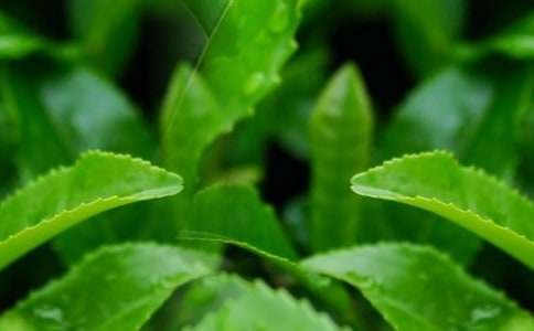 �P�ڲ��~����500��6ƪ