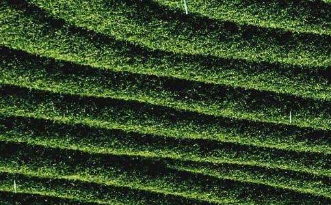 ĸ�H�Ĳ��~������