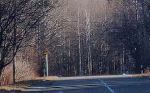 �L��ɽ��ӛ