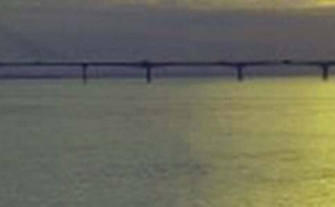 �������L(zh��ng)����(y��u)������