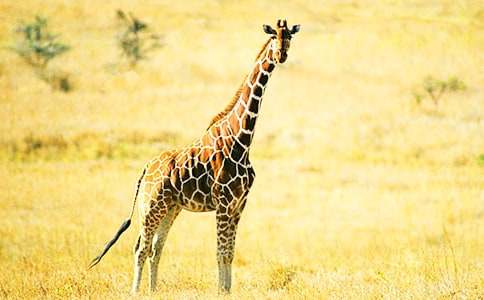 �L(zh��ng)�i¹�Ąe������400��