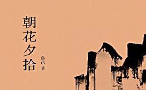 我最感動的一本書《朝花夕拾》作文600字
