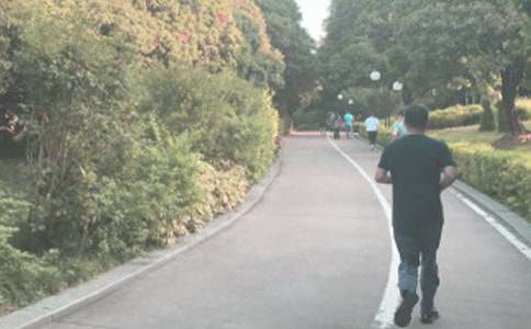 ��������600�־�ƪ