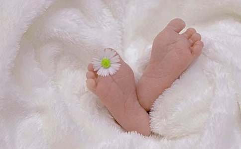 �{(di��o)�������ζ������