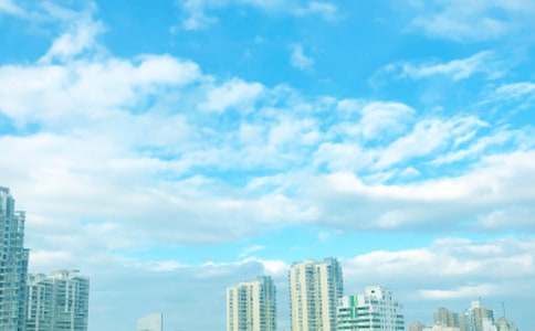 別樣的青春風(fēng)景小學(xué)作文