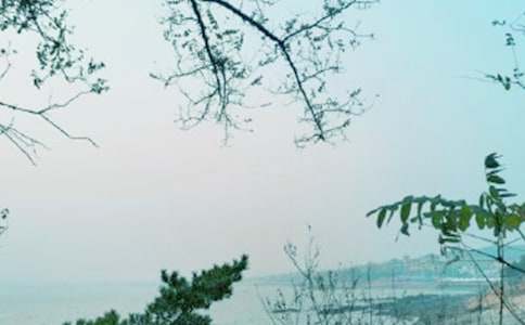 春風(fēng)的作文