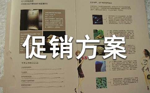 【合集】商品促銷方案2篇