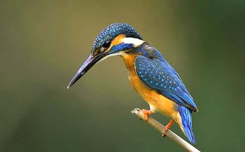 �����B�����ʽ̌W�OӋ