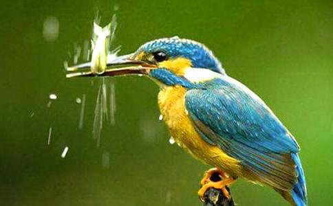 �Z(y��)�Ĵ��B(ni��o)�n�r(sh��)�̌W(xu��)�O(sh��)Ӌ(j��)