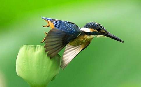 ���B���ģ����x38ƪ��