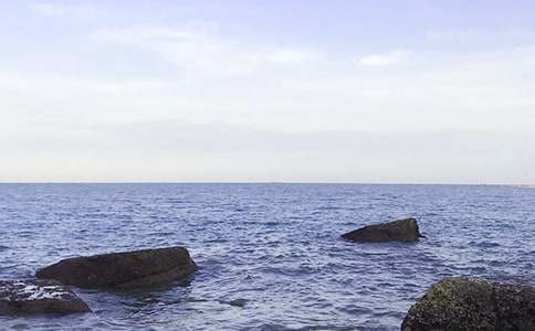 我眼中的大海話題作文