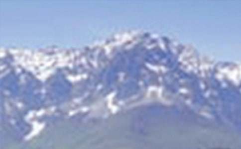 大山的憤怒_作文